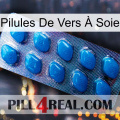 Pilules De Vers À Soie viagra1
